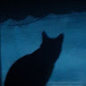 Meet your Posher, Zack